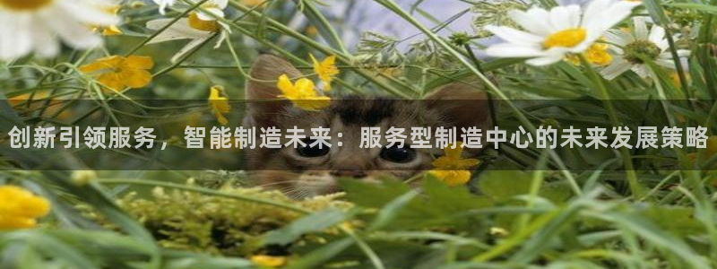 彩神v下载安装:创新引领服务,智能制造未来:服务型制造中心的 彩神v下载安装:创新引领服务,智能制造未来:服务型制造中心的